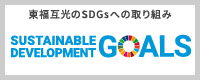 SDGs̎g